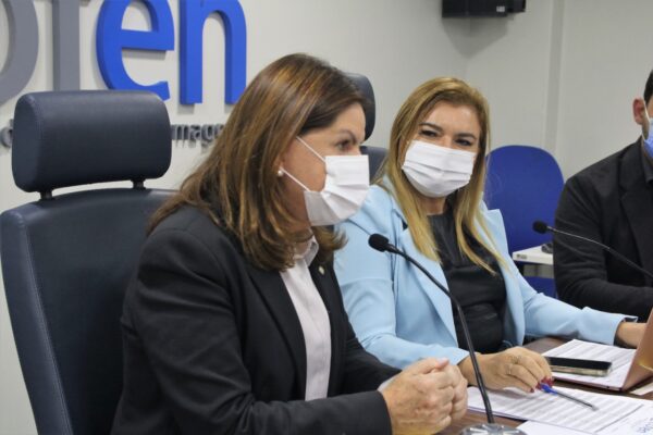 Parlamentares se reúnem no Cofen para articular aplicação do Piso Salarial